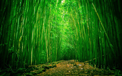 1698807 (a): :2560x1600